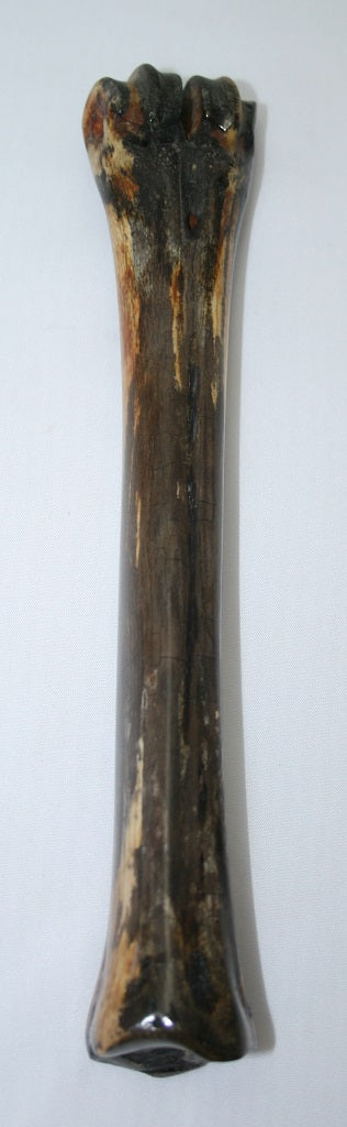 NB601T14 Wildebeest Bone