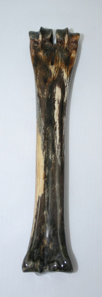 NB601T17 Wildebeest Bone