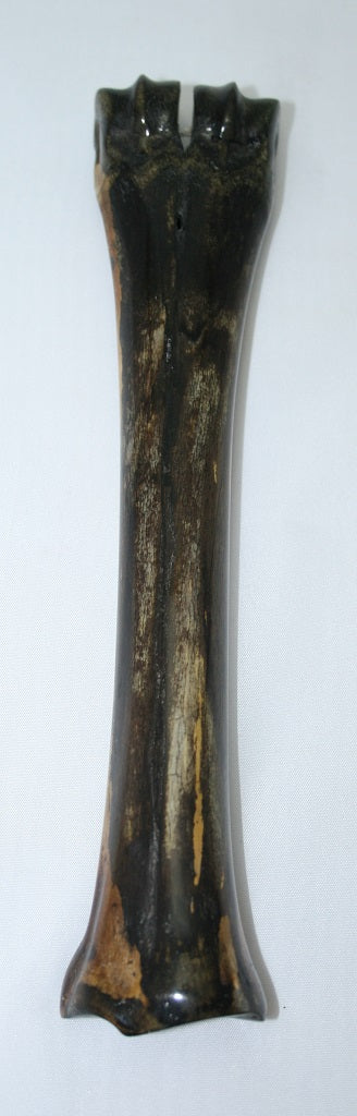 NB601T19 Wildebeest Bone