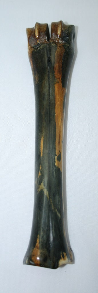 NB601T20 Wildebeest Bone