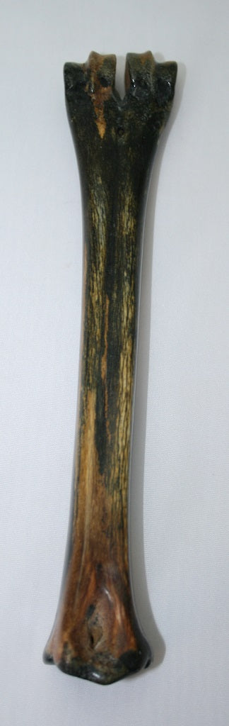 NB601T8 Wildebeest Bone