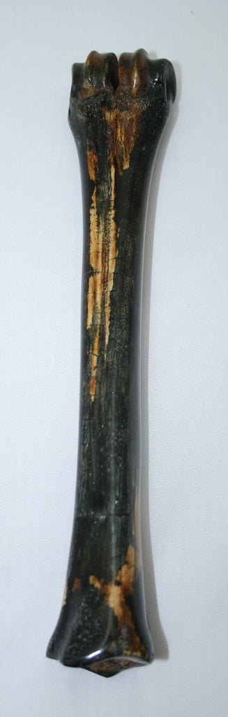 NB601T9 Wildebeest Bone