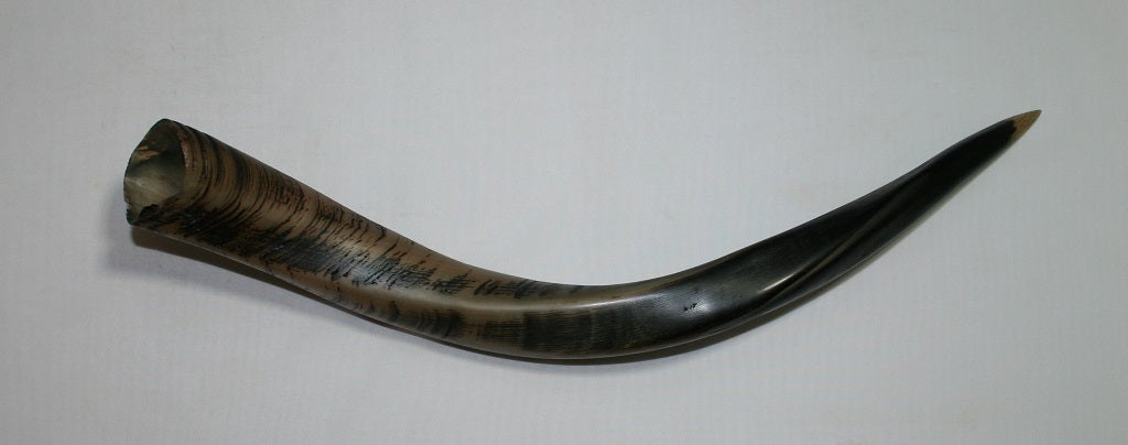 NB611F2 Njala Whole Horn