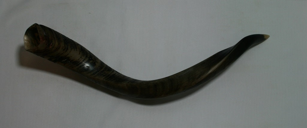 NB611F3 Njala Whole Horn