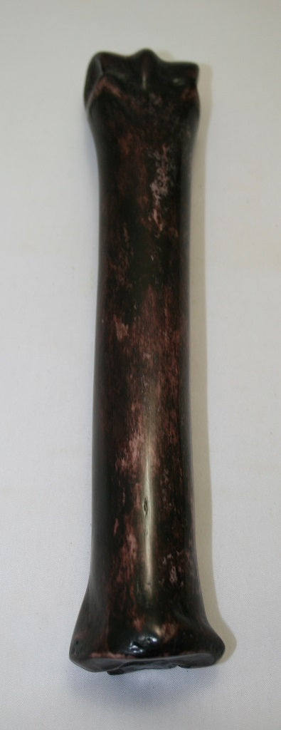 NB701AYA17 Zebra Bone