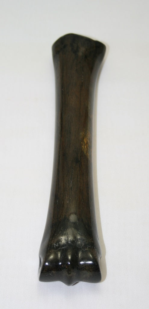 NB701MJ10 Zebra Bone