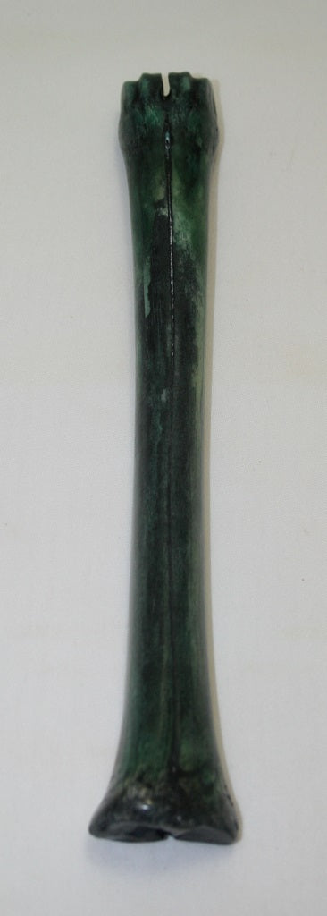 NB801F5 Impala Bone