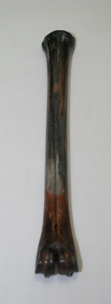 NB801LT11 Impala Bone