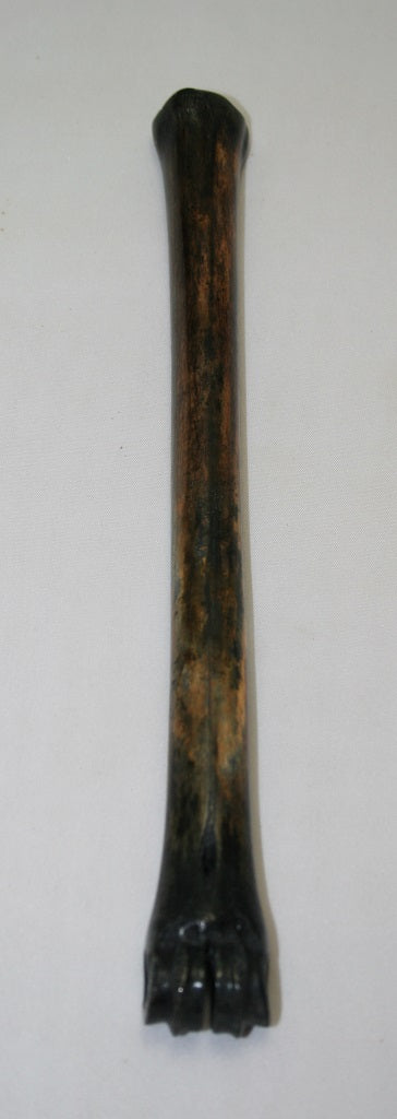 NB801LT16 Impala Bone