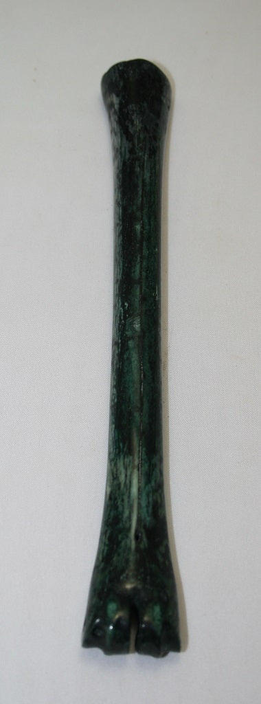 NB801LT18 Impala Bone