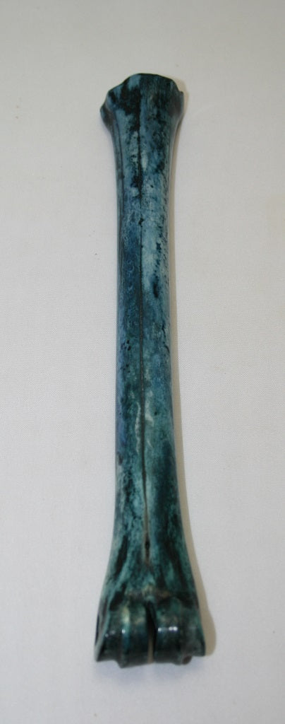 NB801LT6 Impala Bone