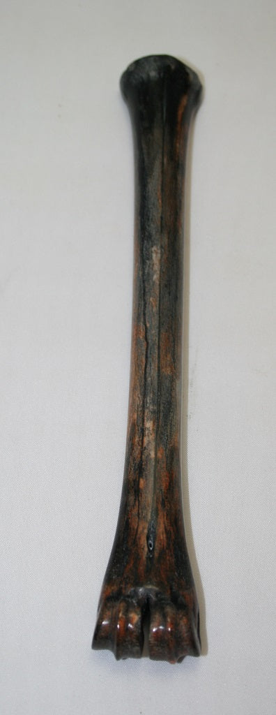 NB801LT7 Impala Bone