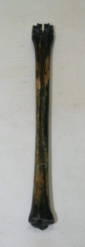 NB801MF4 Impala Bone