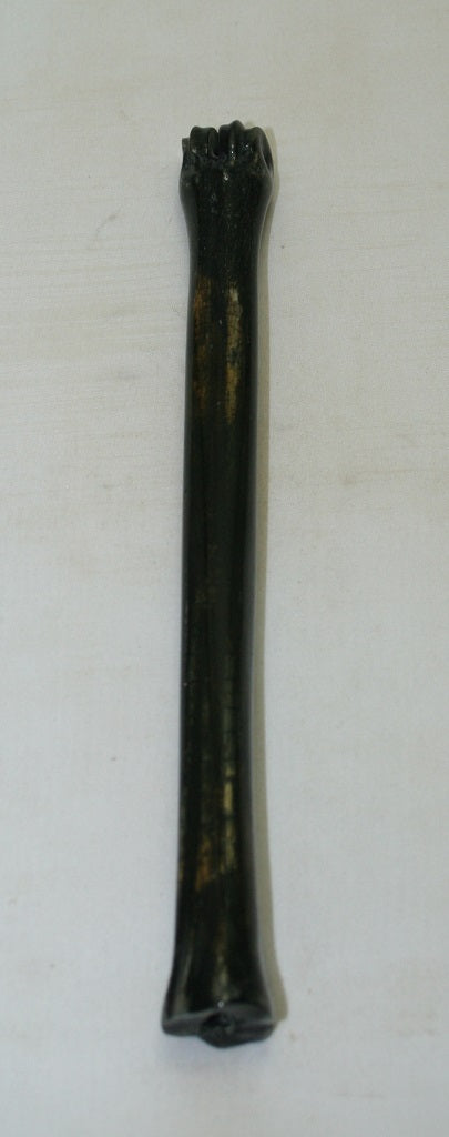 NB801MF8 Impala Bone