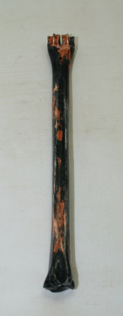 NB801MF9 Impala Bone