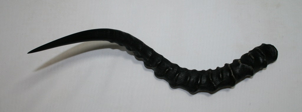 NB802LT3 Impala Horn