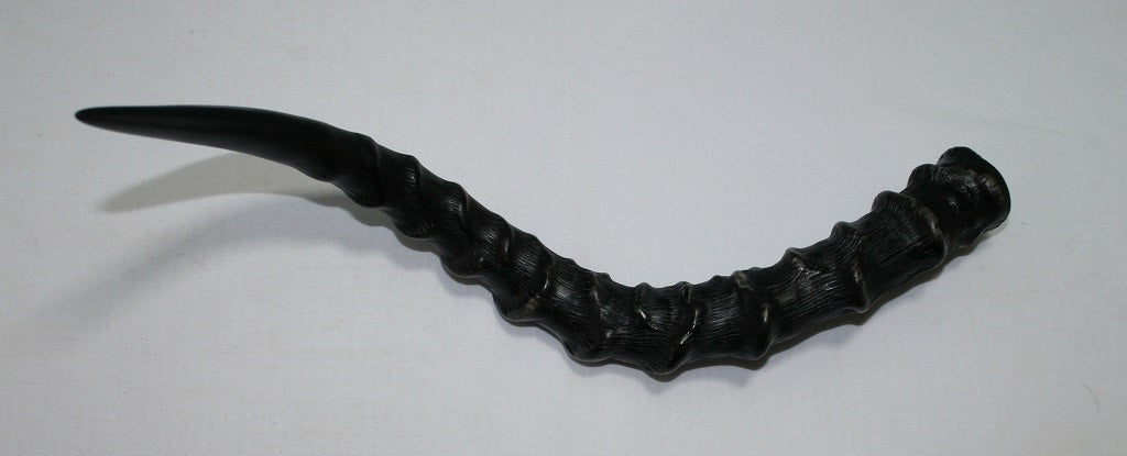 NB802NL1 Impala Horn