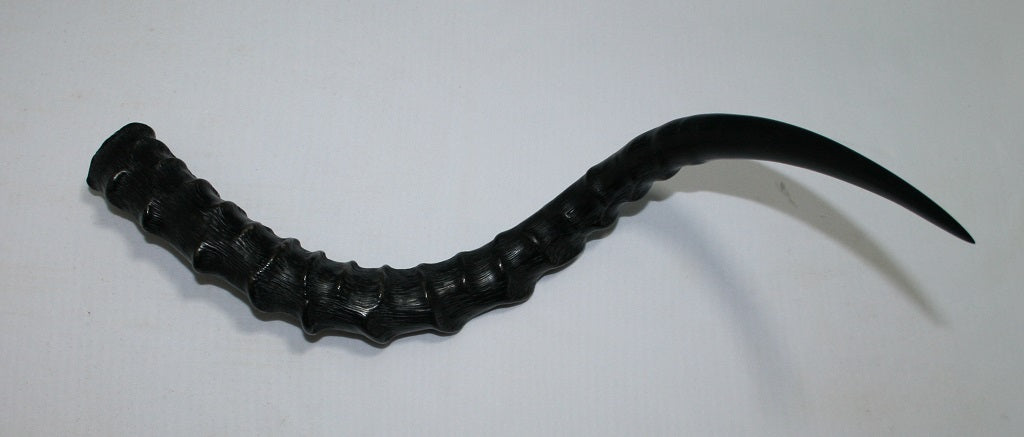 NB802NL6 Impala Horn