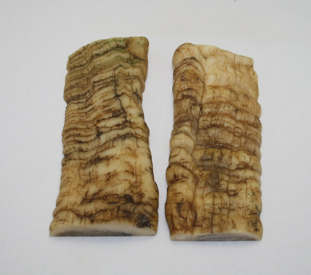 NB901AYA10 Merino Ram&#39;s Horn Flat Block Scales