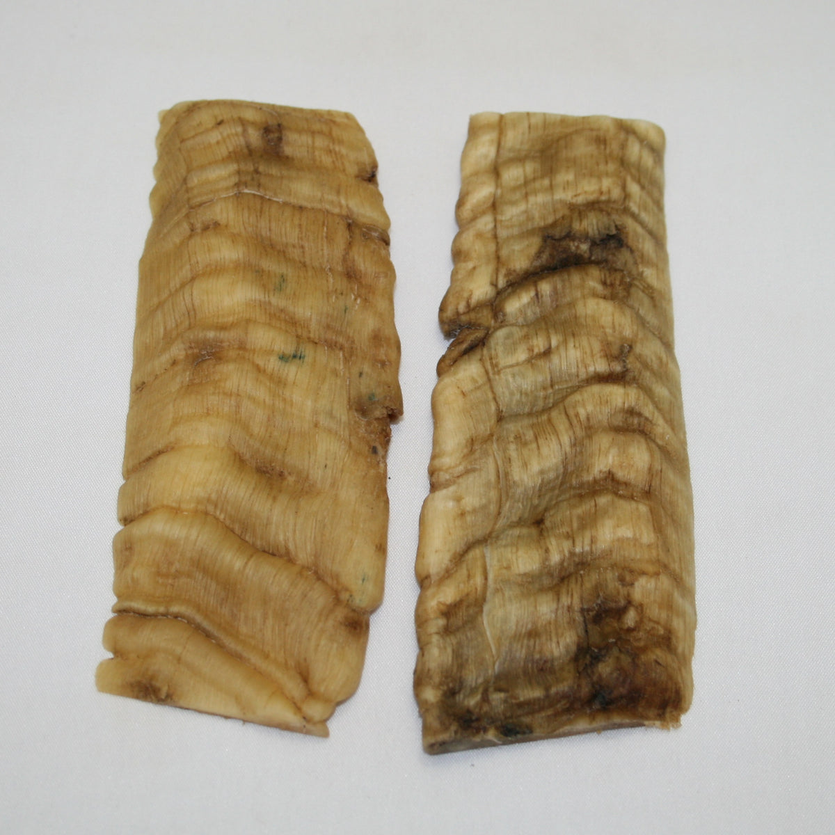 NB901AYA1 Merino Ram&#39;s Horn Flat Block Scales