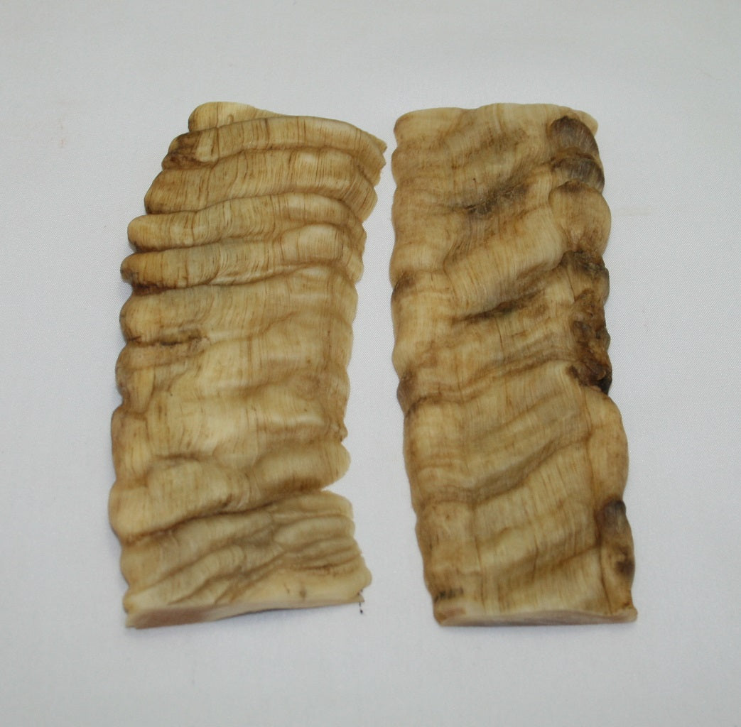 NB901F22 Merino Ram&#39;s Horn Flat Block Scales