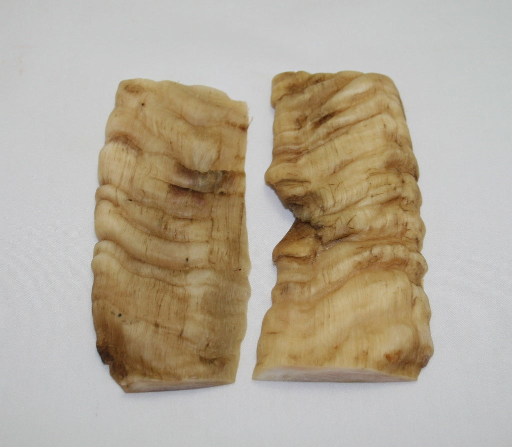 NB901F2 Merino Ram&#39;s Horn Flat Block Scales