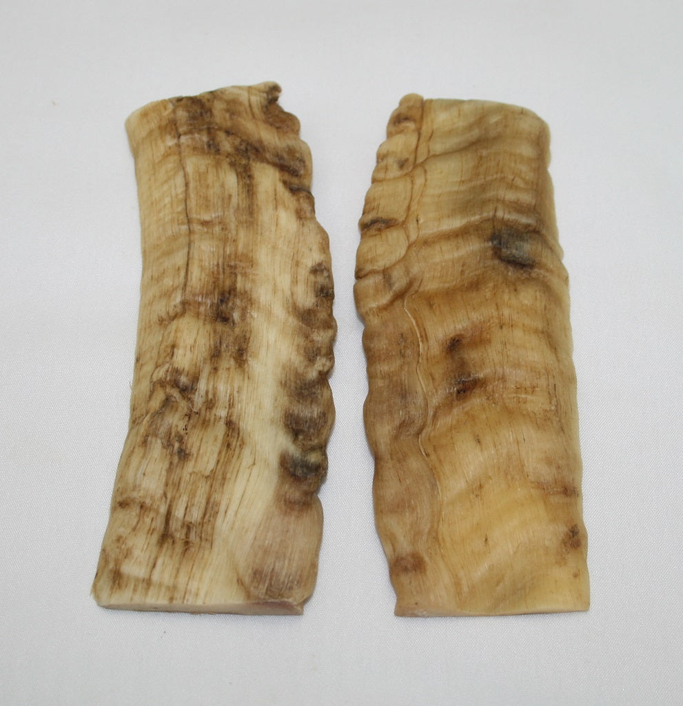 NB901F38 Merino Ram&#39;s Horn Flat Block Scales