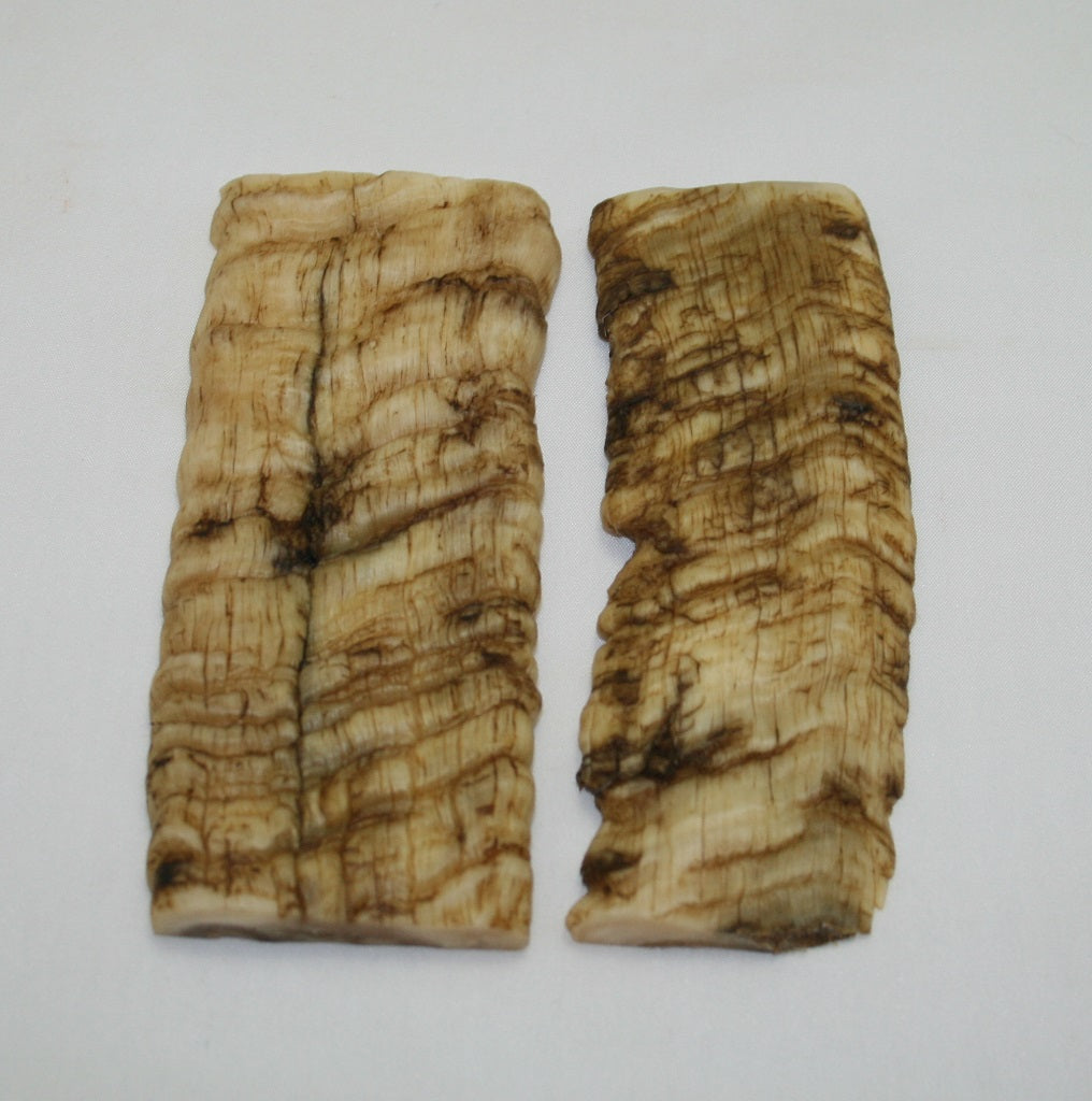 NB901F8 Merino Ram&#39;s Horn Flat Block Scales