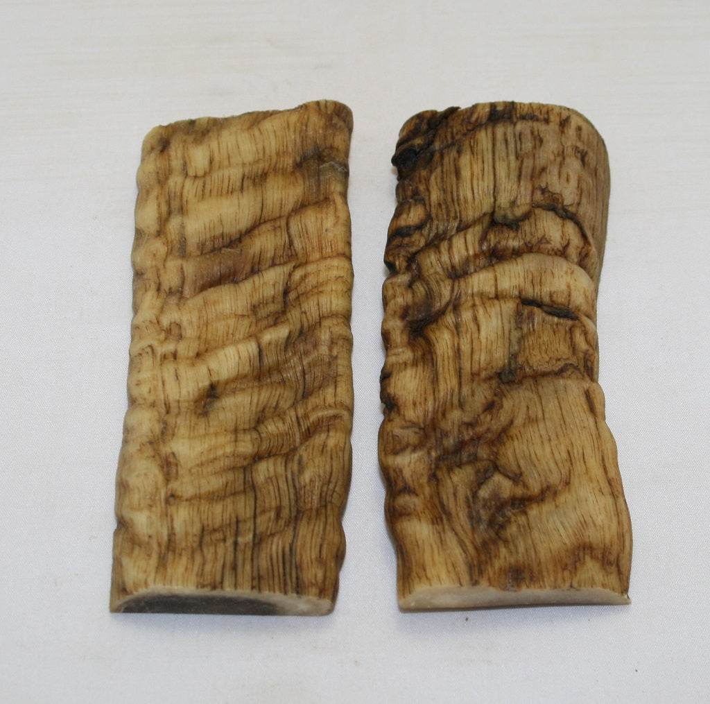 NB901MF10 Merino Ram&#39;s Horn Flat Block Scales