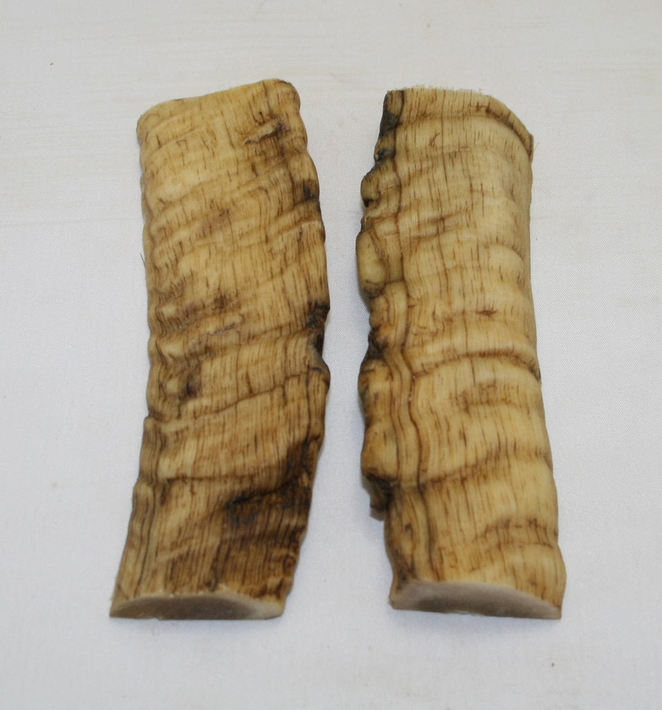 NB901MF11 Merino Ram&#39;s Horn Flat Block Scales