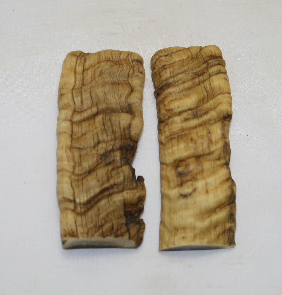 NB901MF6 Merino Ram&#39;s Horn Flat Block Scales