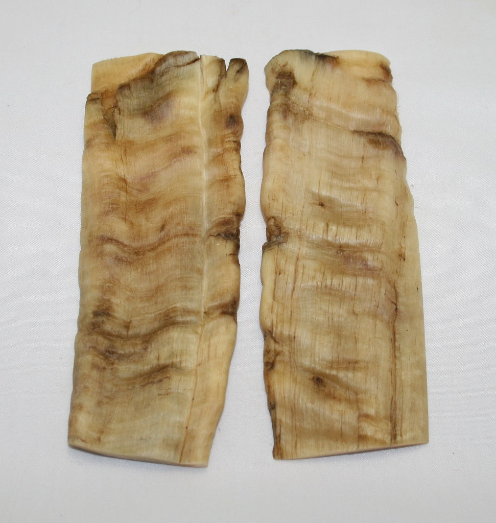 NB901NL12 Merino Ram&#39;s Horn Flat Block Scales