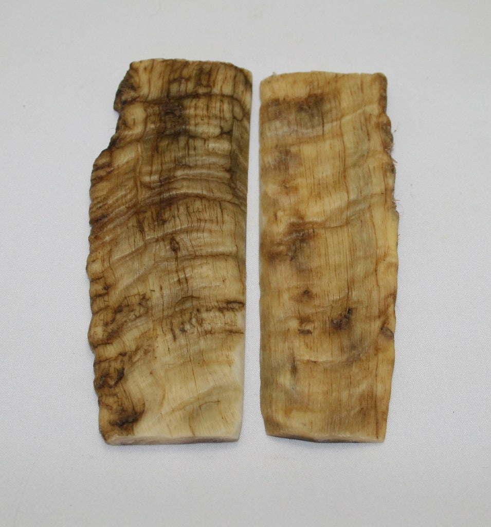 NB901NL14 Merino Ram&#39;s Horn Flat Block Scales