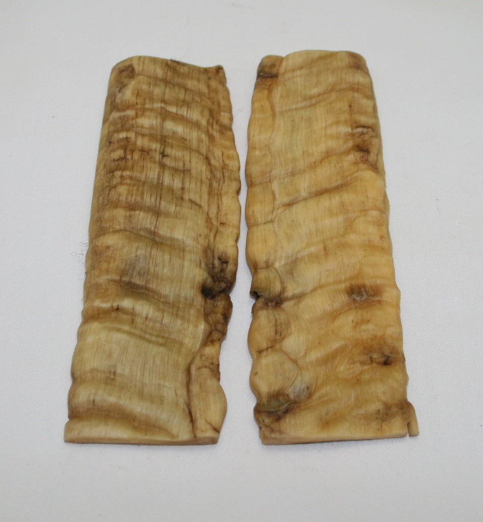 NB901NL15 Merino Ram&#39;s Horn Flat Block Scales