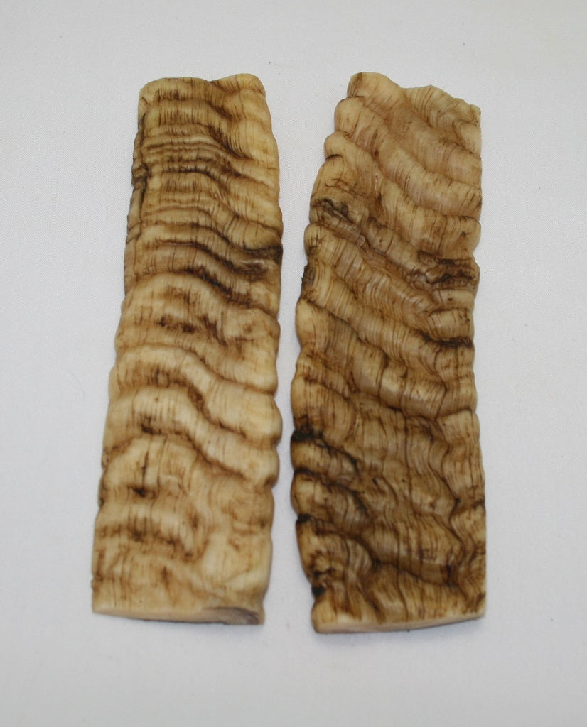 NB901NL16 Merino Ram&#39;s Horn Flat Block Scales