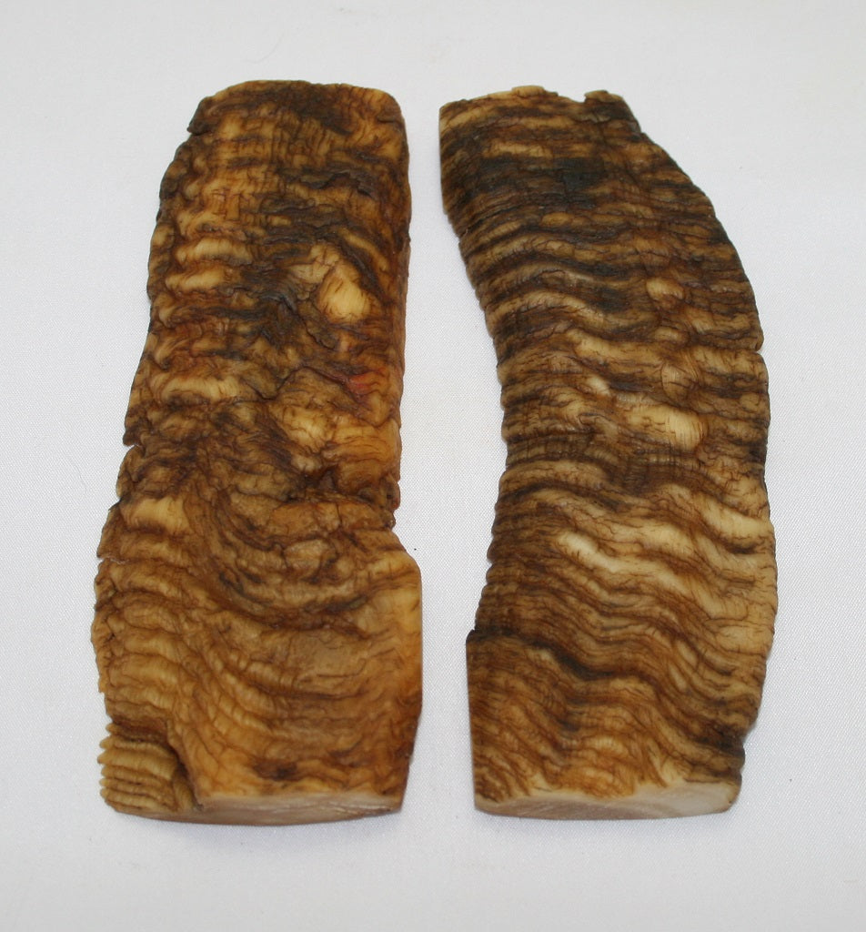 NB901NL17 Merino Ram&#39;s Horn Flat Block Scales