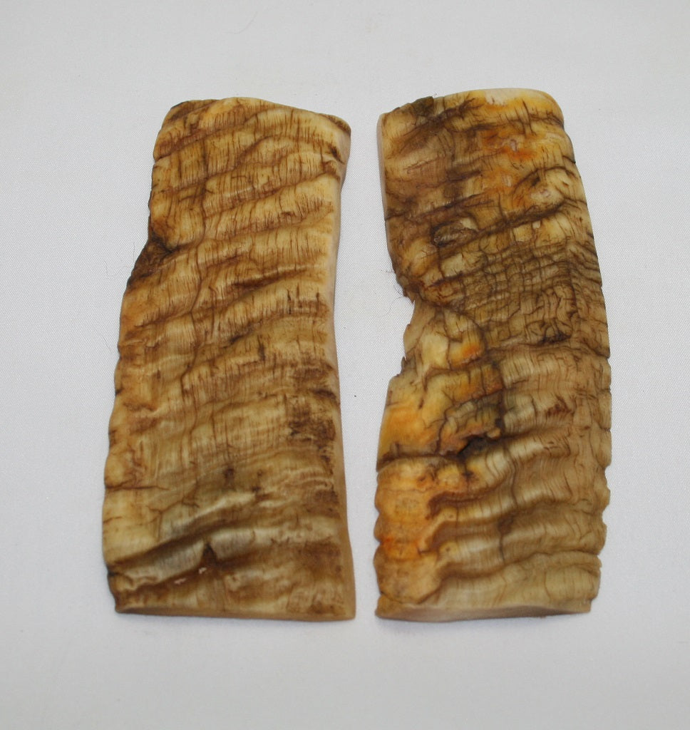 NB901NL18 Merino Ram&#39;s Horn Flat Block Scales