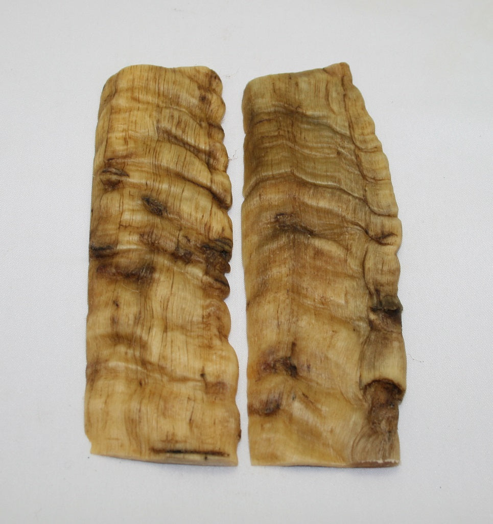 NB901NL1 Merino Ram&#39;s Horn Flat Block Scales