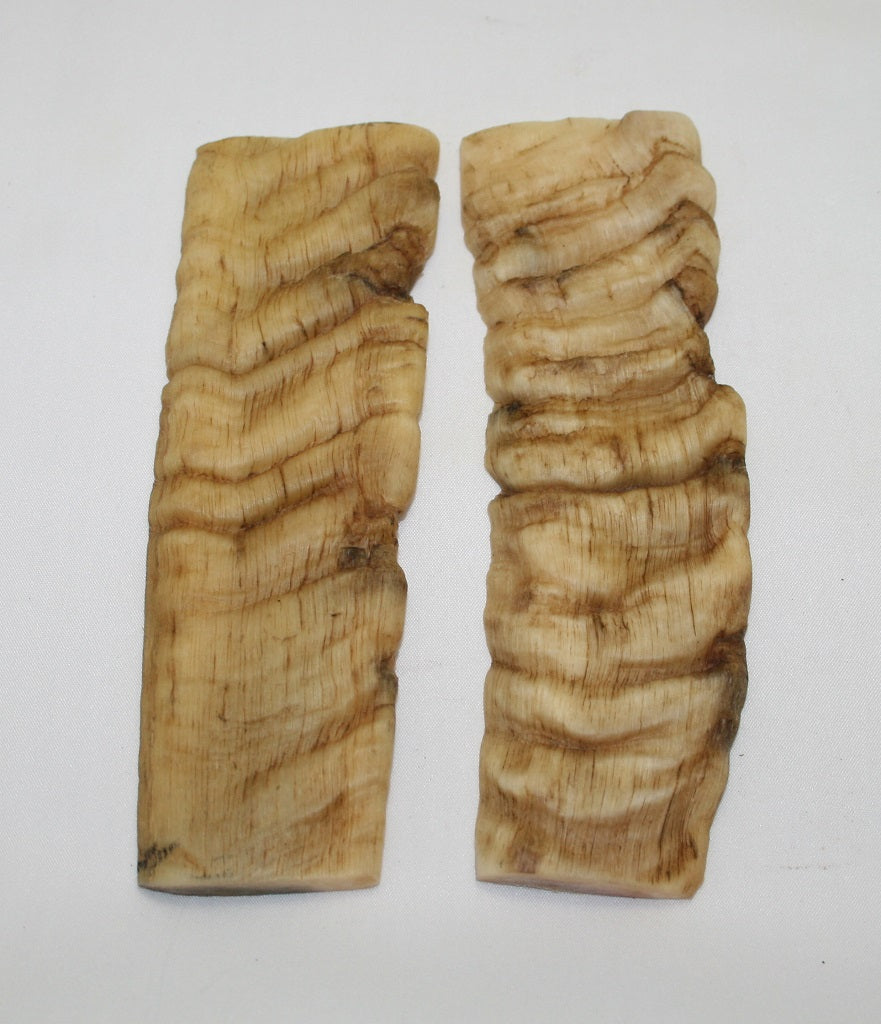 NB901NL23 Merino Ram&#39;s Horn Flat Block Scales