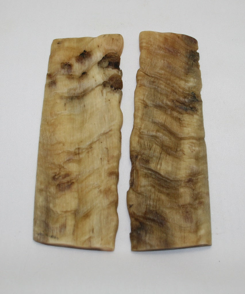 NB901NL24 Merino Ram&#39;s Horn Flat Block Scales