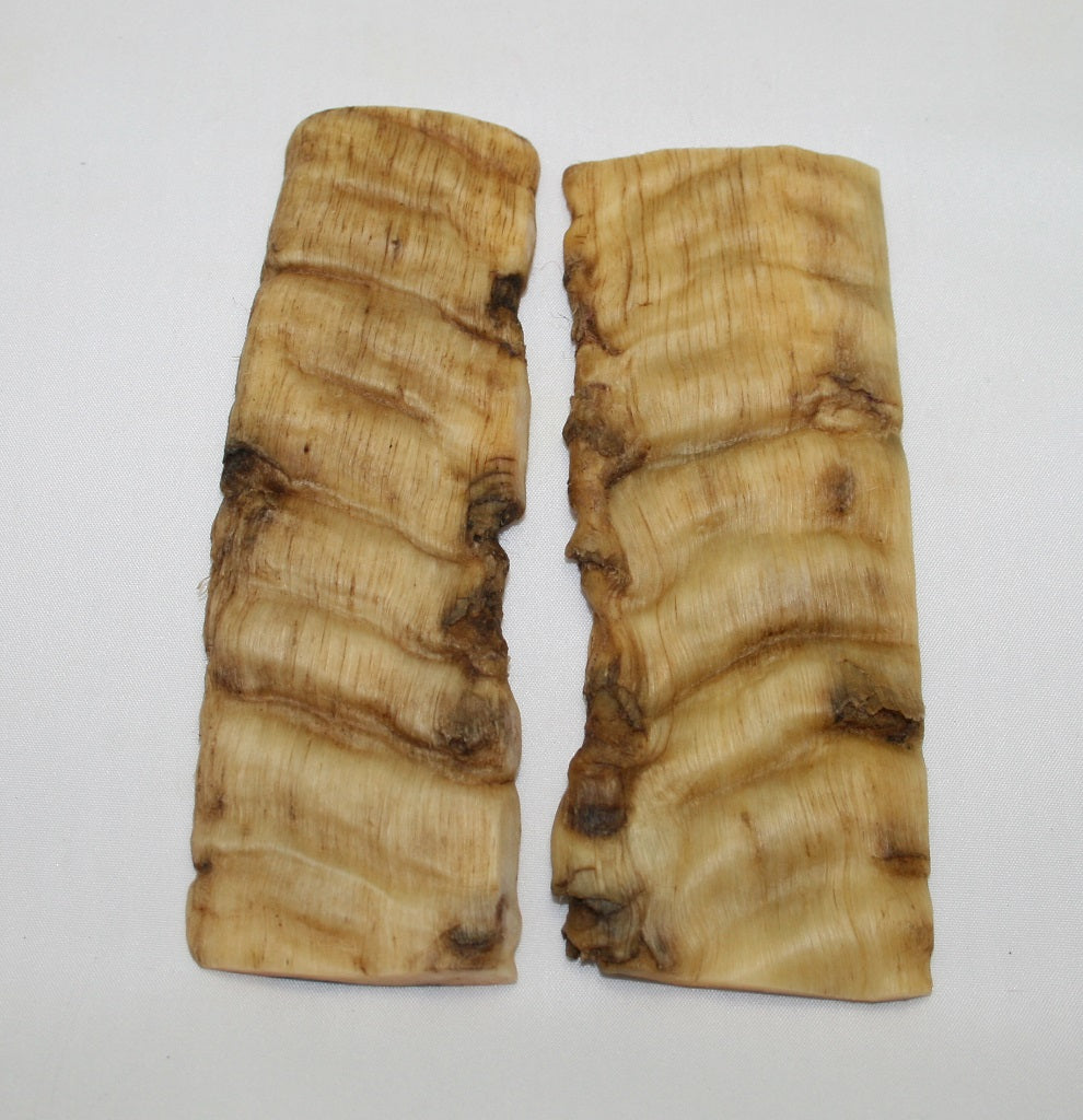 NB901NL7 Merino Ram&#39;s Horn Flat Block Scales