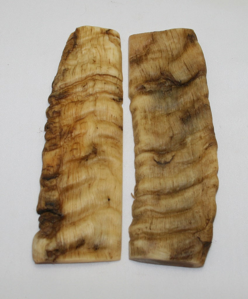 NB901NL9 Merino Ram&#39;s Horn Flat Block Scales