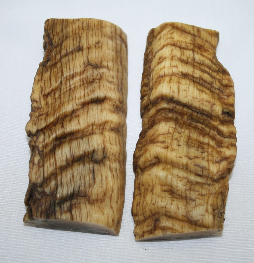 NB901N14 Merino Ram&#39;s Horn Flat Block Scales