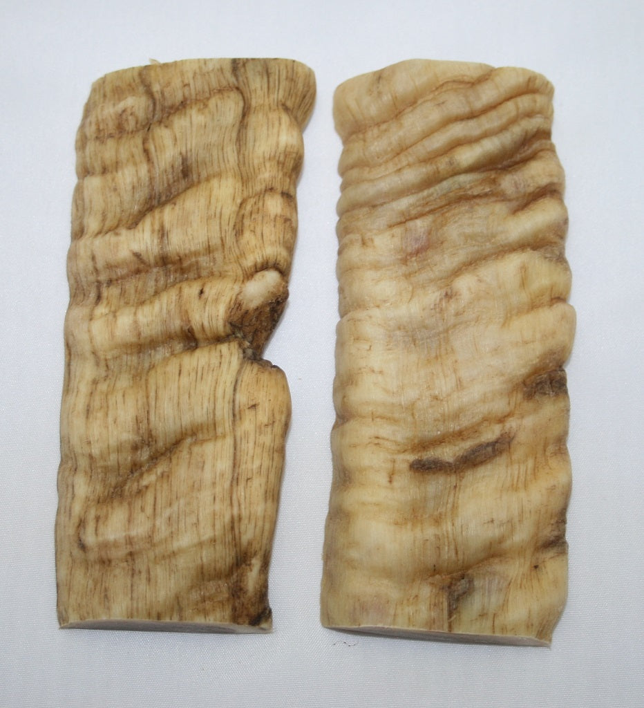 NB901N15 Merino Ram&#39;s Horn Flat Block Scales