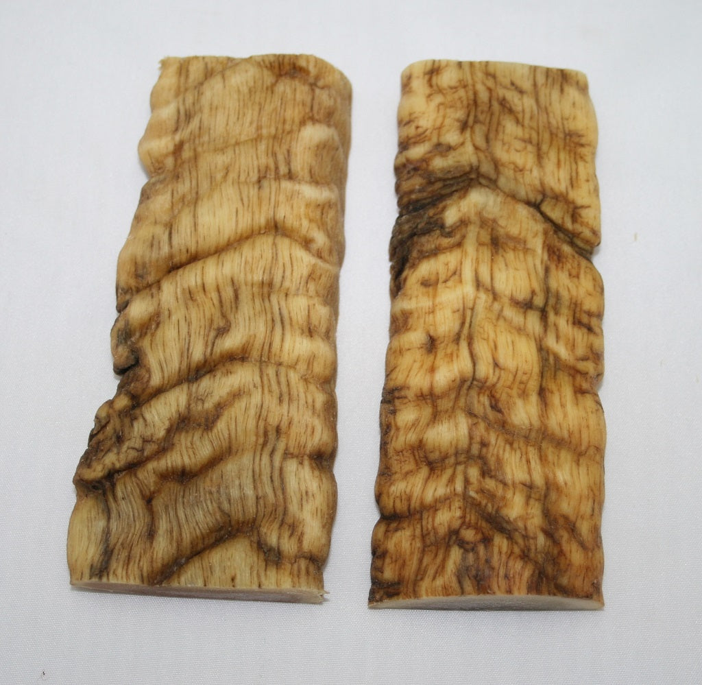 NB901N23 Merino Ram&#39;s Horn Flat Block Scales