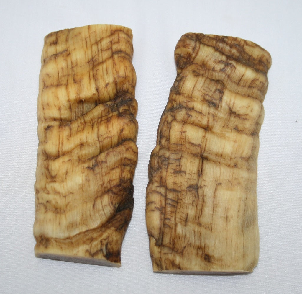 NB901N30 Merino Ram&#39;s Horn Flat Block Scales