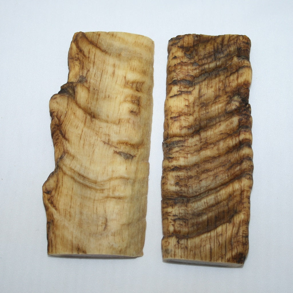 NB901N52 Merino Ram&#39;s Horn Flat Block Scales