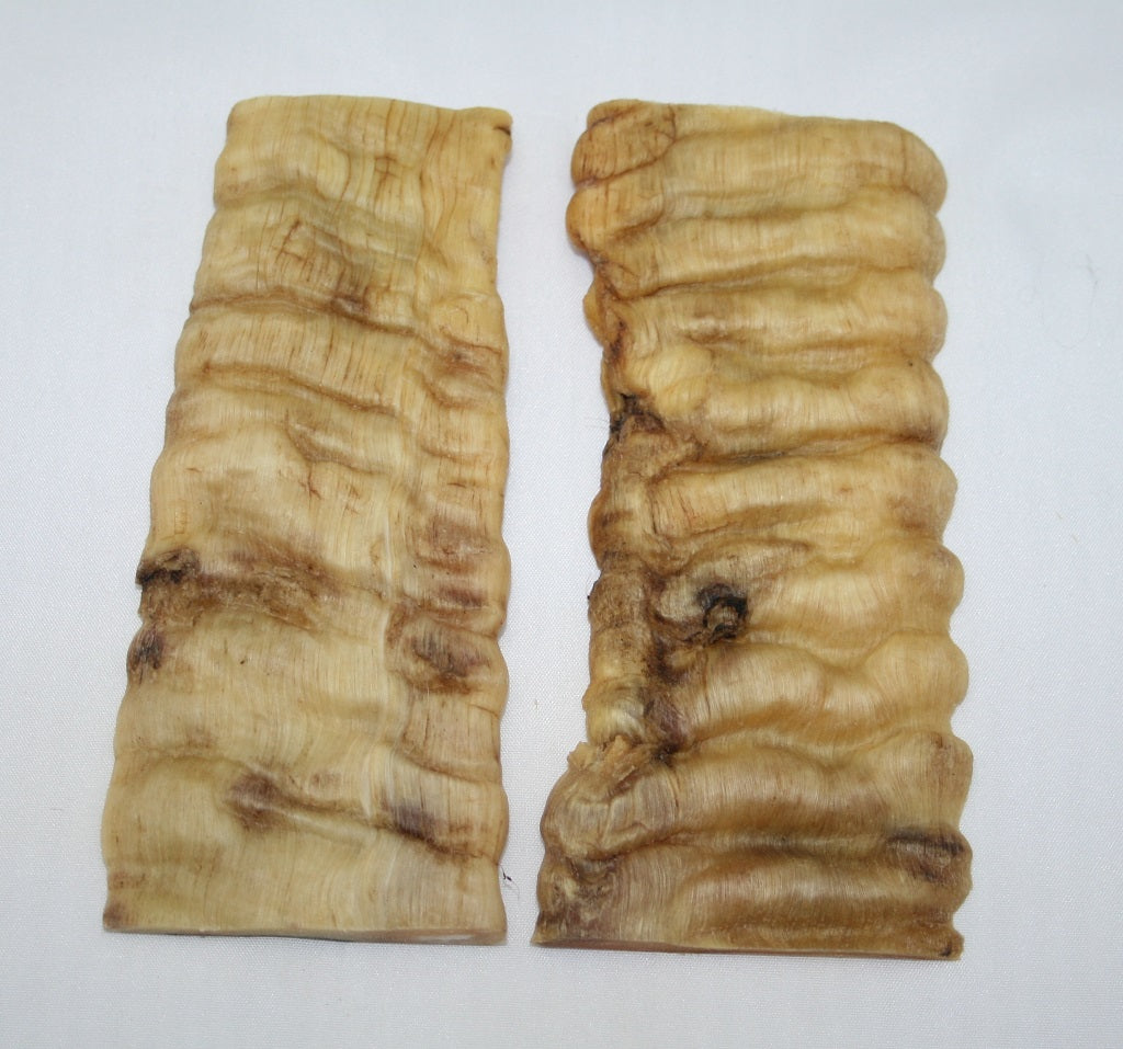 NB901N54 Merino Ram&#39;s Horn Flat Block Scales