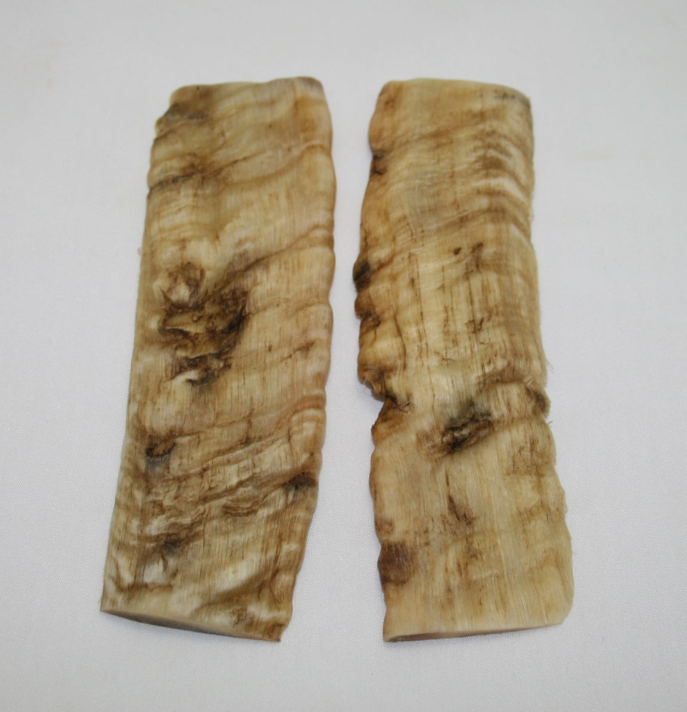 NB903F10 Merino Ram&#39;s Horn Flat Block Scales