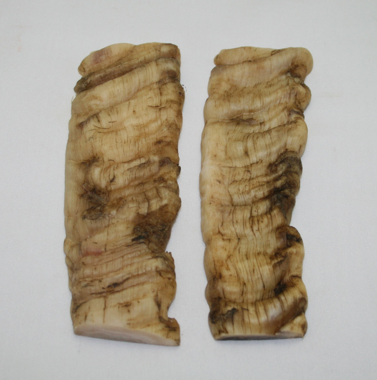 NB903F16 Merino Ram&#39;s Horn Flat Block Scales